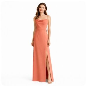 BHLDN The Remy Cowl Neck Maxi Dress Gown Sedona Size 4 Bridesmaid Wedding NWT
